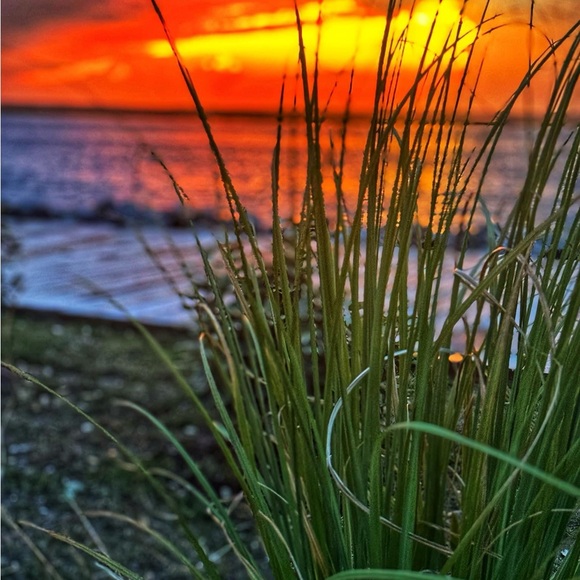 Meet your Posher, Jelayne - Picture 1 of 1